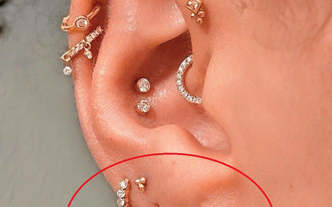 Что лучше: пирсинг «пистолетом», иглой или катетером? Типы украшений.